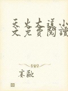 天火大道小说全文免费阅读无弹窗