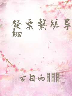 发票系统导出明细