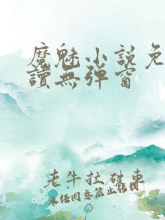 魔魅小说免费阅读无弹窗