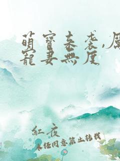 萌宝来袭,厉总宠妻无度