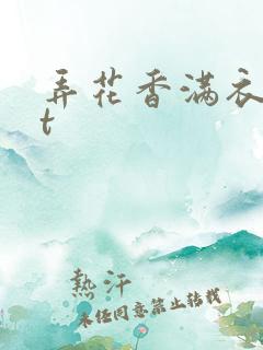 弄花香满衣txt