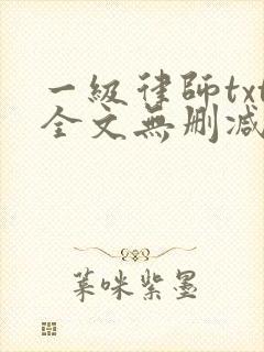 一级律师txt全文无删减