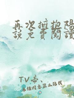 再次拥抱阳光小说免费阅读