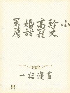 军婚高干小说推荐甜宠文