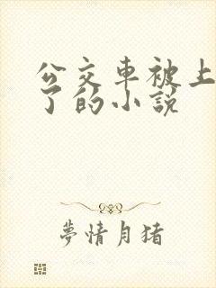 公交车被上高潮了的小说