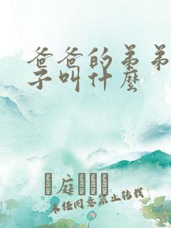 爸爸的弟弟的妻子叫什么