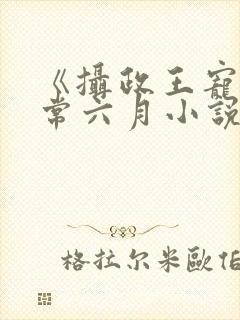 《摄政王宠妃日常六月小说》