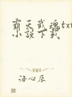 霸天武魂txt小说下载
