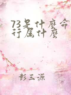 73是什么命五行属什么