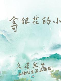 金银花的小说姜可