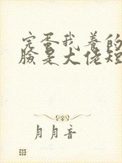 完蛋我养的小白脸是大佬短剧免费看