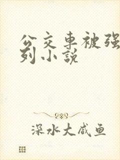 公交车被强d系列小说