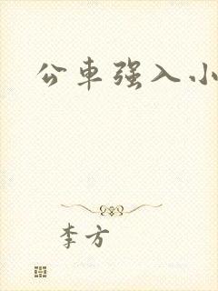 公车强入小说