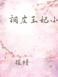 调皮王妃小说