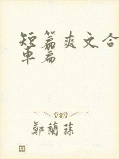 短篇爽文合集公车篇