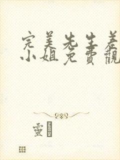 完美先生差不多小姐免费观看