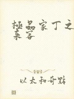 极品家丁之远方来客