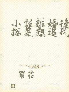 小说离婚后前夫总是想追我免费读