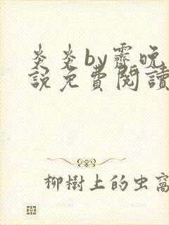 炎炎by霁晚小说免费阅读全文