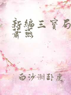 新编三宝局长 萧燕