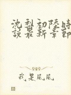 沈梨初陆时霁小说最新章节免费阅读