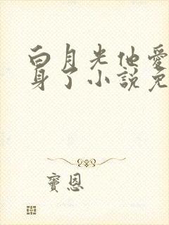 白月光他爱上替身了小说免费阅读