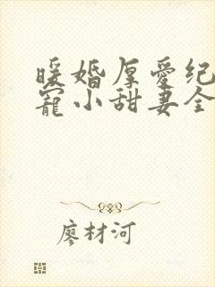 暖婚厚爱纪总独宠小甜妻全集完整版