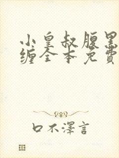 小皇叔腹黑又难缠全本免费阅读