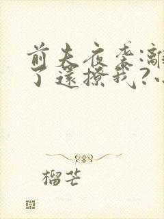 前夫夜袭:离婚了还撩我?小说阅读