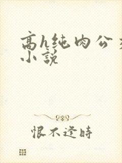 高h纯肉公交车小说