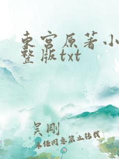 东宫原著小说完整版txt