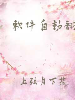 软件自动翻译