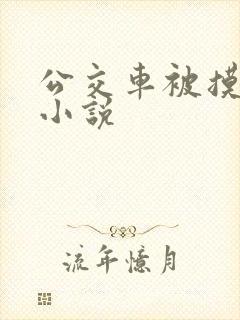 公交车被摸高潮小说