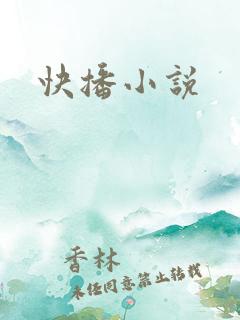 快播小说