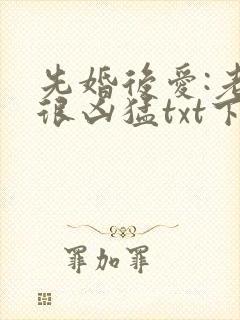 先婚后爱:老公很凶猛txt下载全集下载