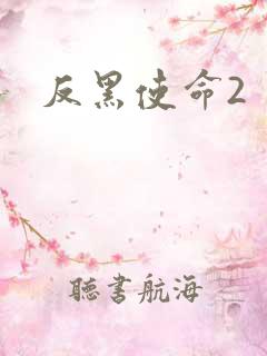 反黑使命2