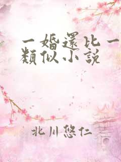 一婚还比一婚高类似小说