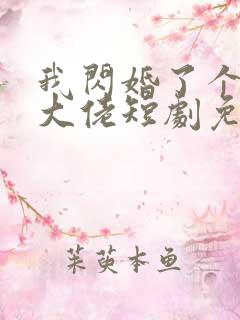 我闪婚了个财阀大佬短剧免费观看