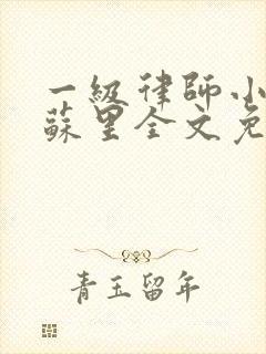 一级律师小说木苏里全文免费阅读