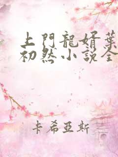上门龙婿叶辰萧初然小说全集