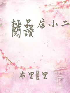 极品店小二全文阅读