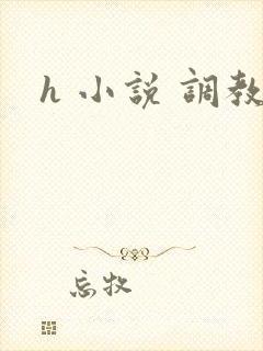 h 小说 调教