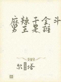麻辣千金斗恶少男主是谁