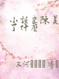 小说良陈美锦讲了什么