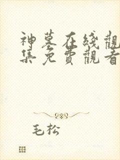 神墓在线观看全集免费观看动漫超高清
