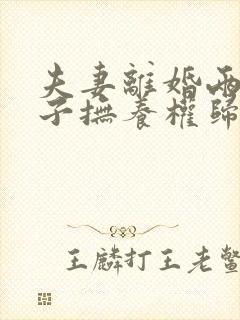 夫妻离婚两个孩子抚养权归谁抚养