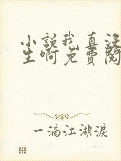 小说我真没想重生啊免费阅读