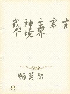 武神主宰有多少个境界