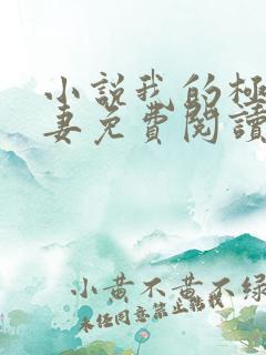 小说我的极品娇妻免费阅读全文