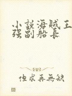 小说海贼王之最强副船长